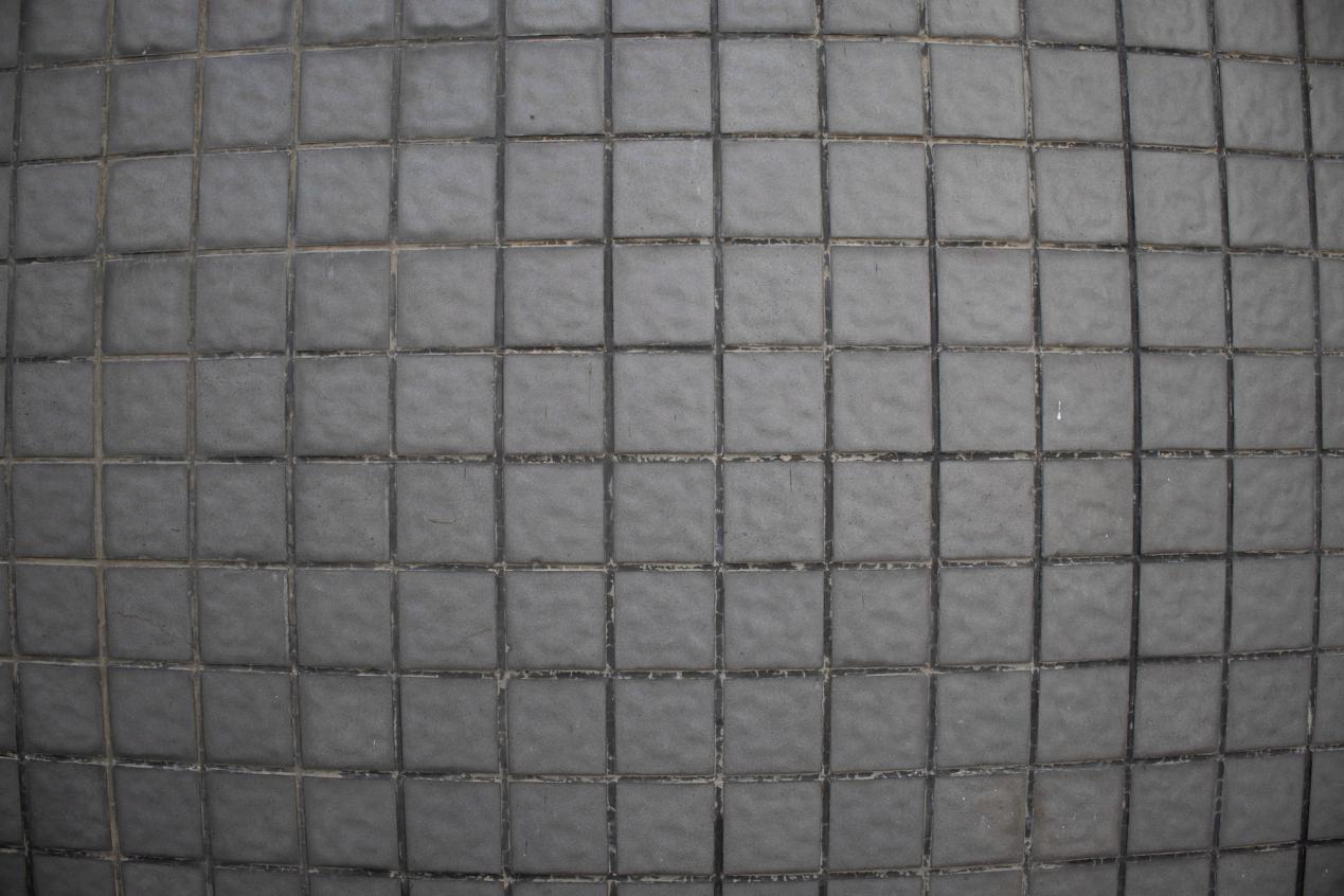 jibian2R8A9695_12