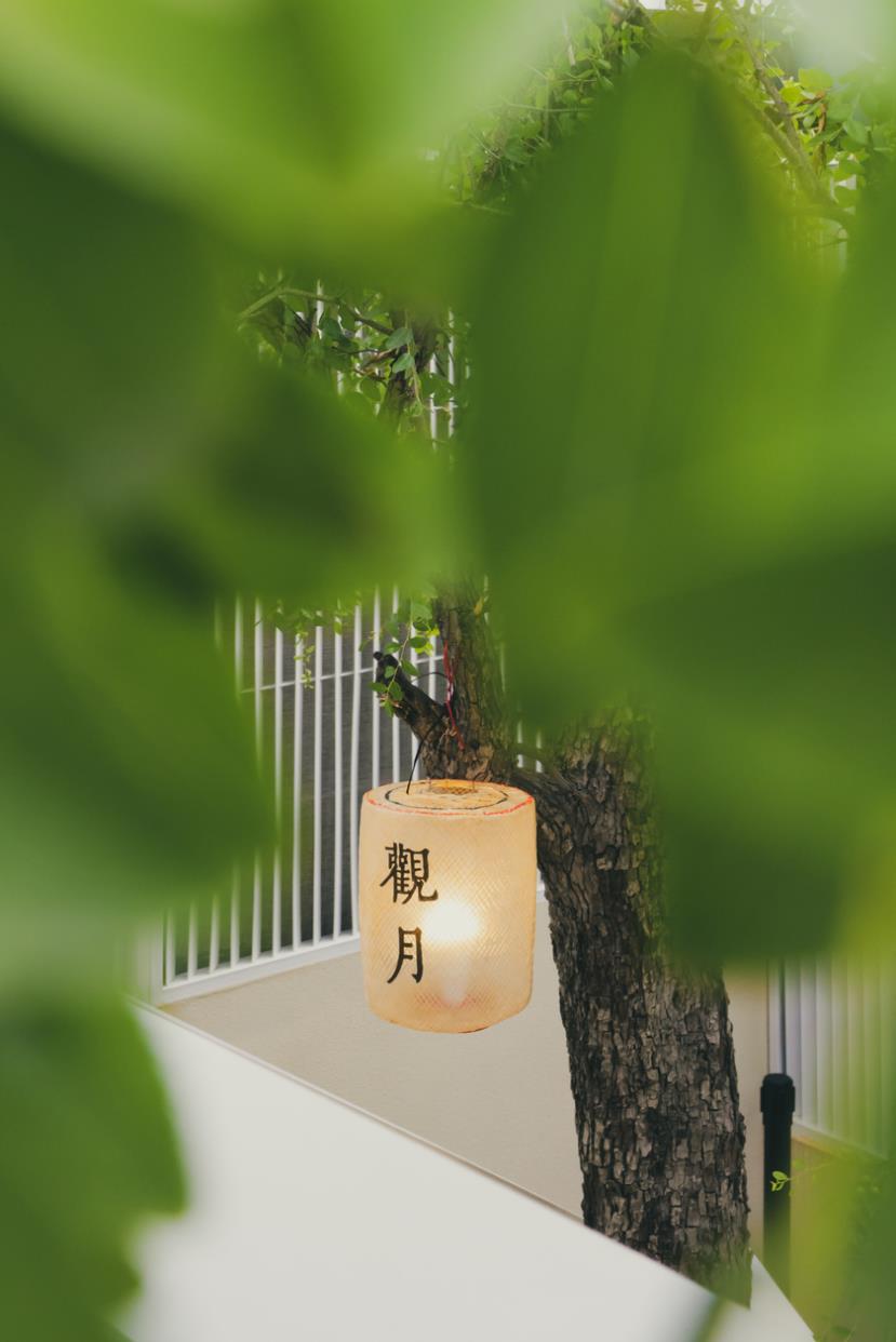 平民超广变焦 佳能RF15-30mm F4.5-6.3 IS STM评测